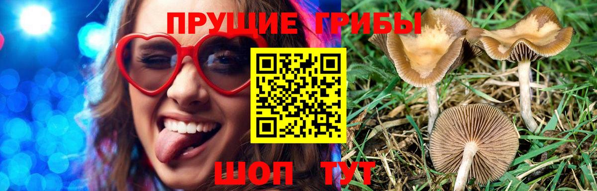 Галлюциногенные грибы мицелий Южно-Сахалинск
